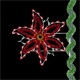 PMPOIN05E Enhanced Holiday Poinsettia